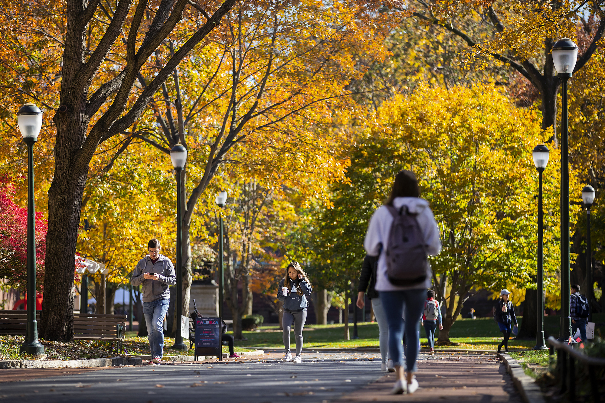 A student walking beneath beautiful fall colors along Locust Walk