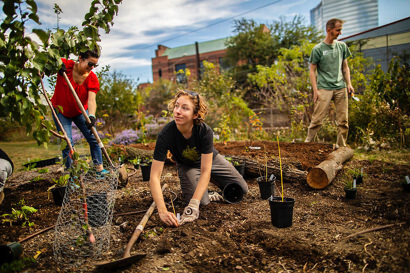 Students gardening