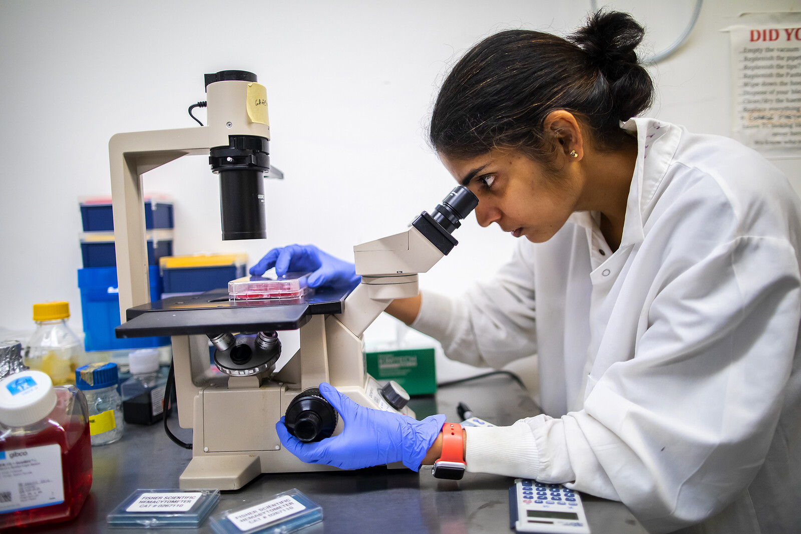 researcher using a microscope