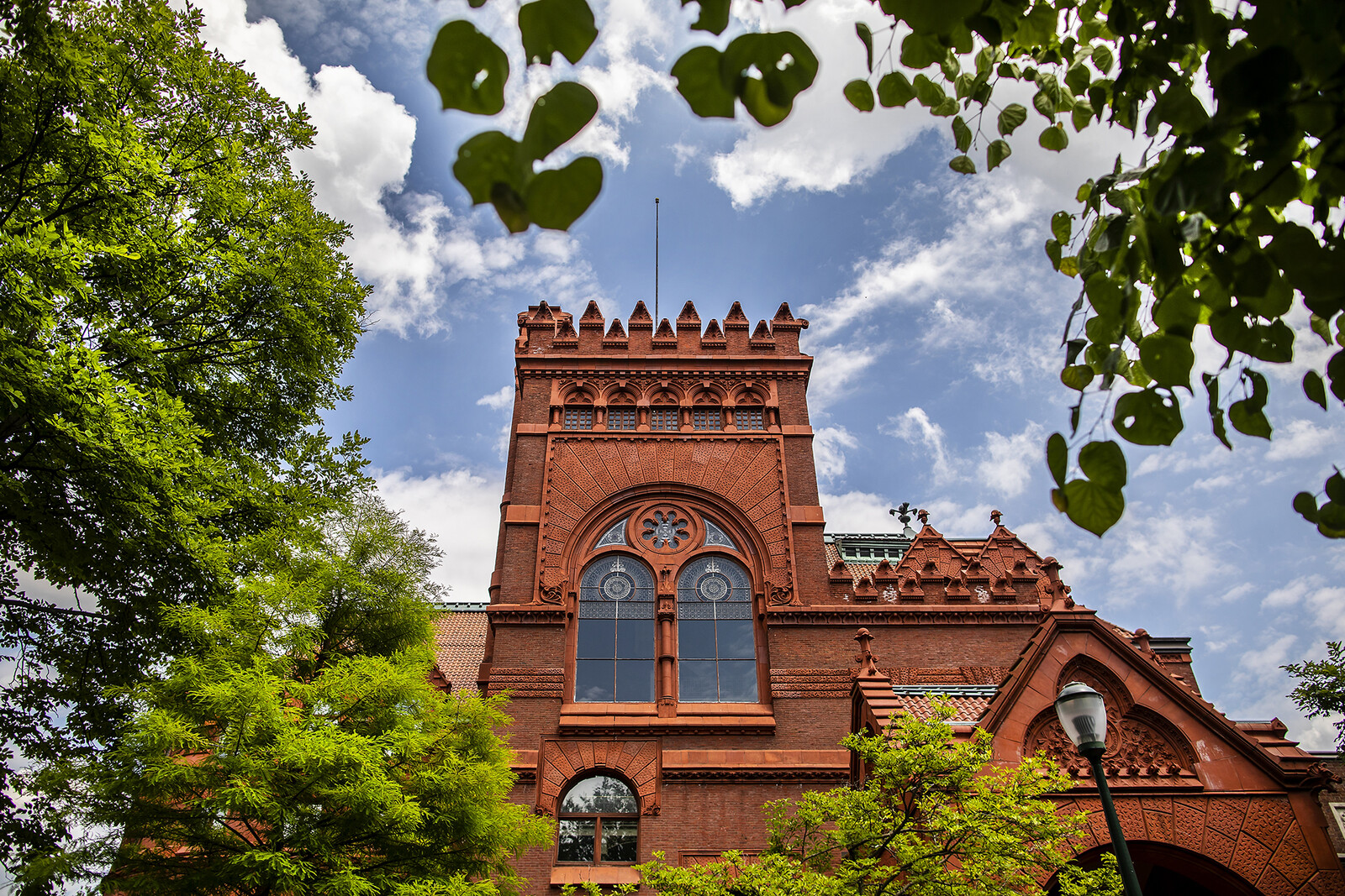 fisher fine arts library surrounded by trees